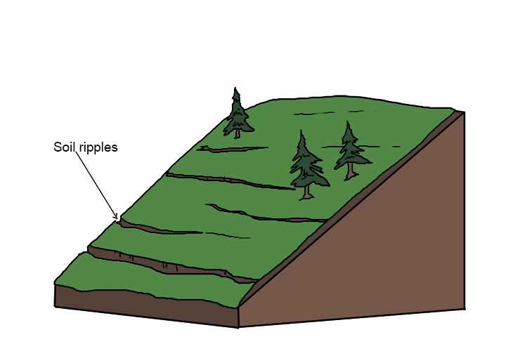 Soil Creep Geography Mammoth Memory Geography